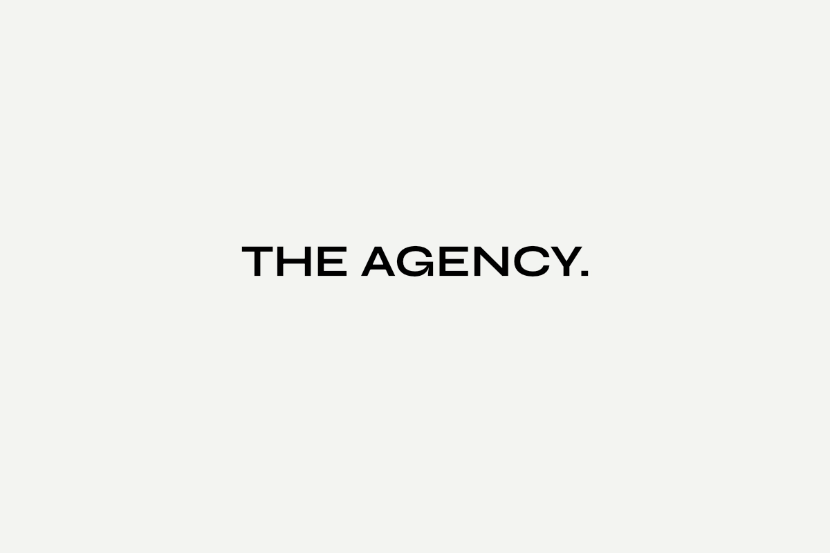 The Agency project preview
